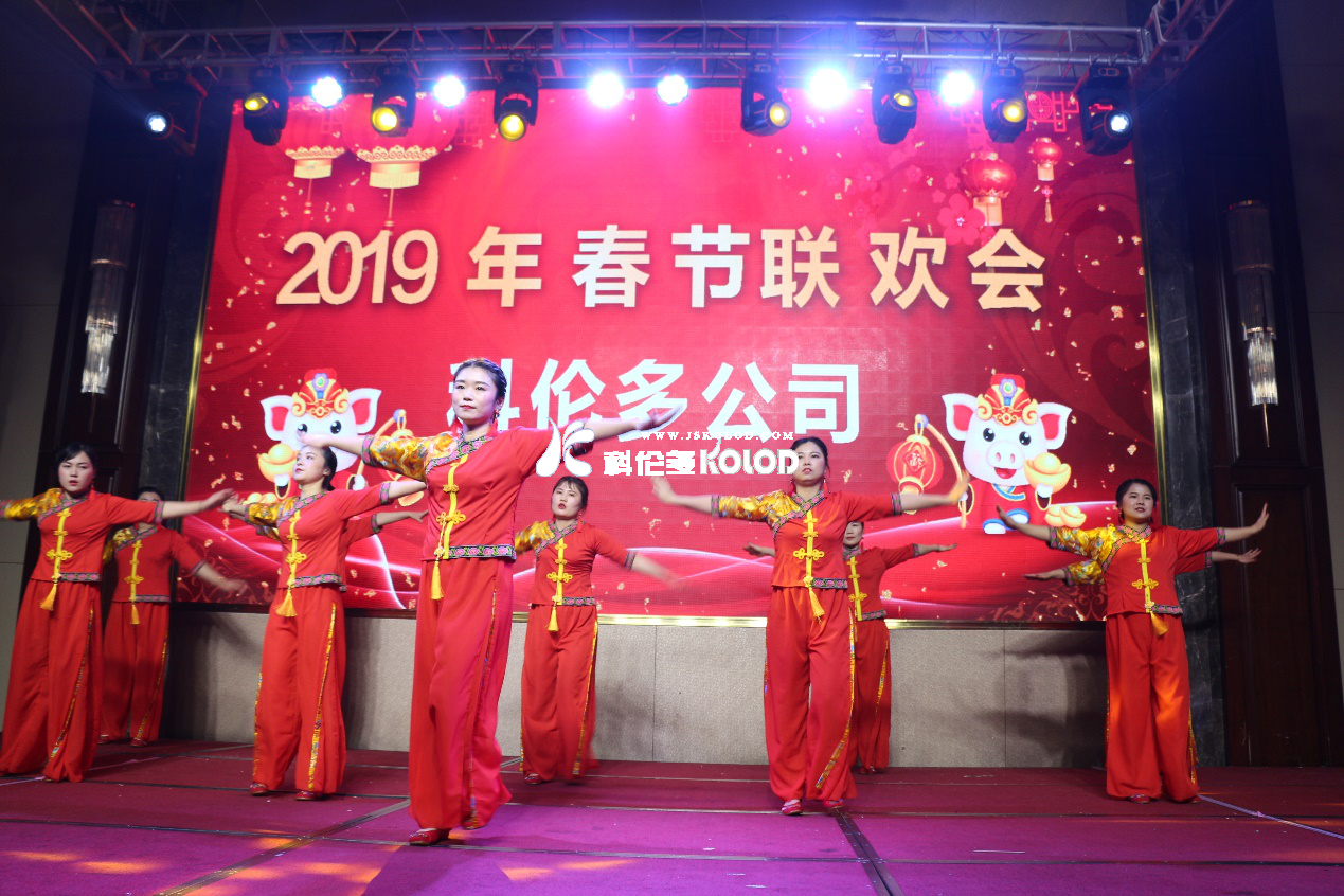 凱歌高奏辭舊歲，豪情滿懷迎新年 （科倫多隆重舉行2019春節(jié)聯(lián)歡晚會(huì)）