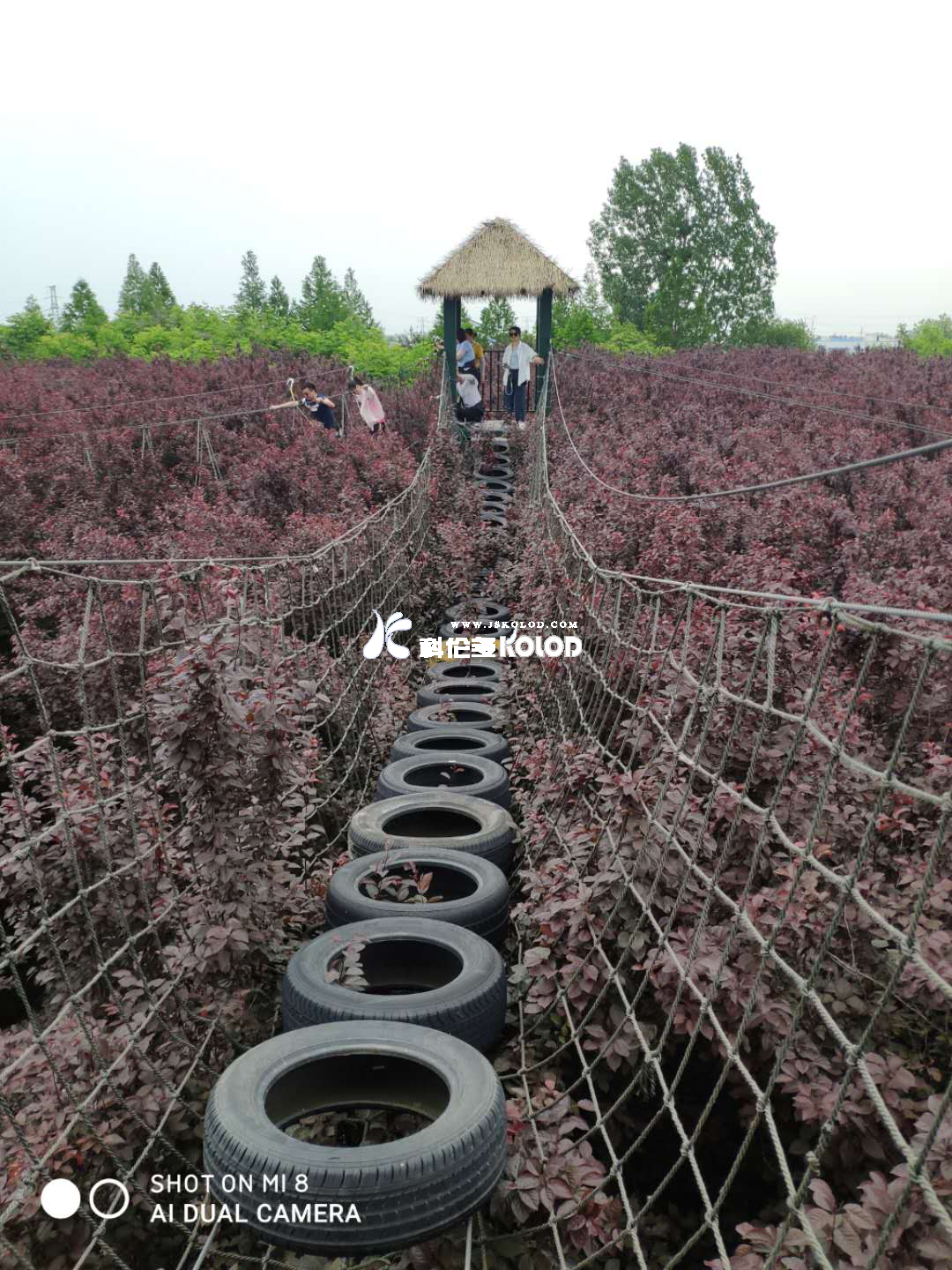 追求卓越團隊、鑄造優(yōu)秀團隊、共創(chuàng)企業(yè)輝煌 （江蘇科倫多赴兆隆林海灣叢林樂園開展團建活動）