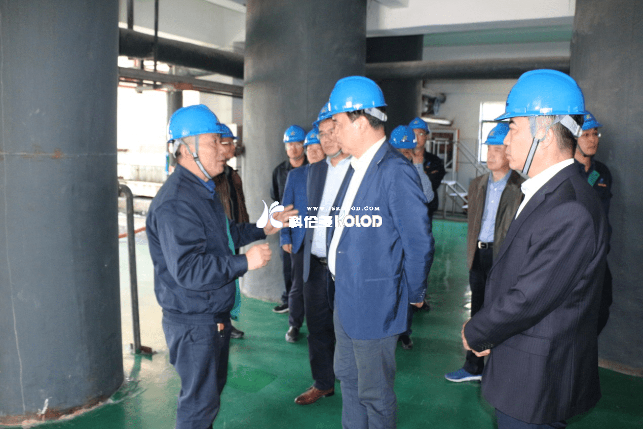 江蘇省應急管理廳副廳長沈仲一蒞臨江蘇科倫多調研指導安全生產工作